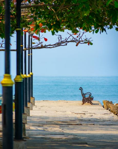 Kerala Delight - Land Only